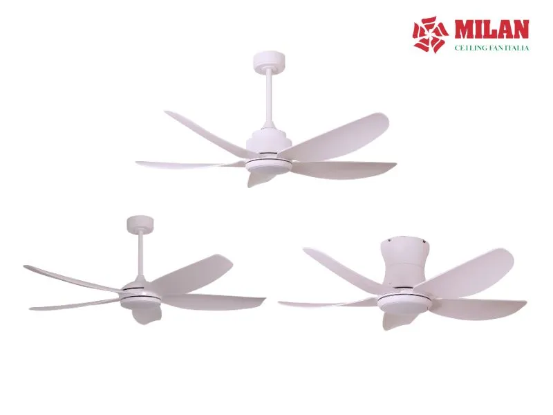 quat-tran-mau-trang-italia